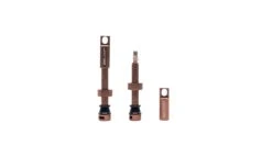 Selcof Tubeless Presta Valves Set -CyclePro Gear Store WSSELTV P4